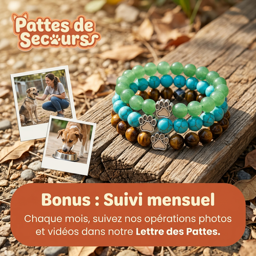 Bracelet Rose — Pattes de Secours