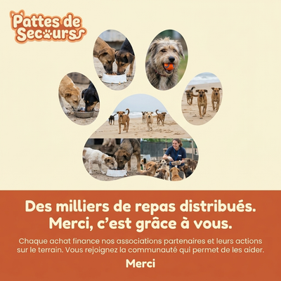 Des milliers de repas distribues - merci, c'est grace a vous