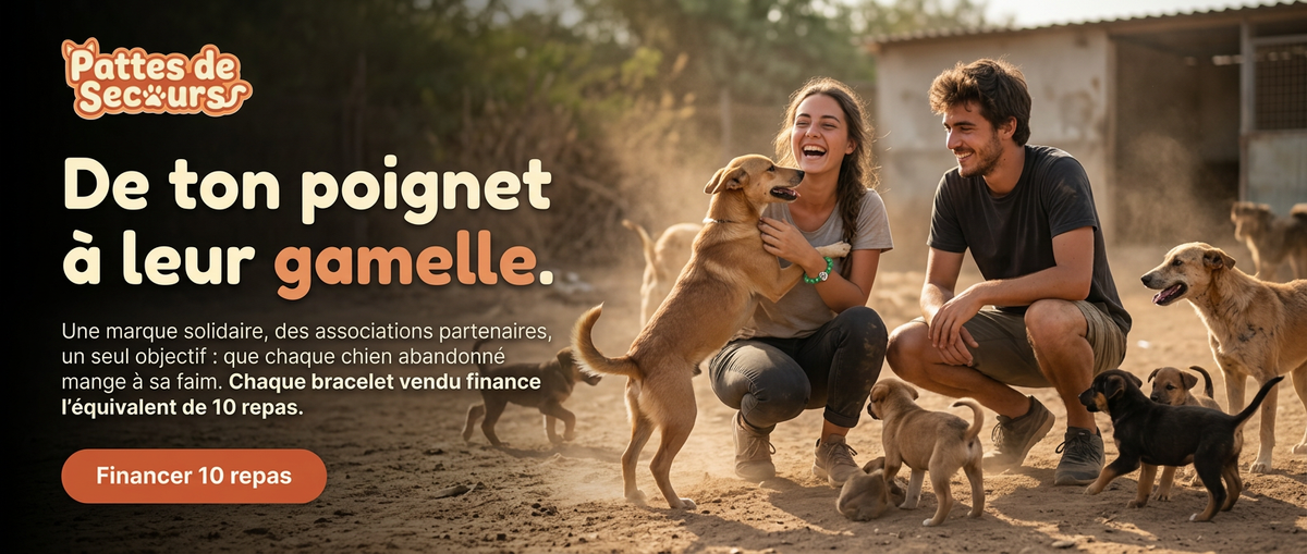 Pattes de Secours — bracelets solidaires pour les chiens abandonnés